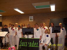 t''Veld 2012 (15).jpg